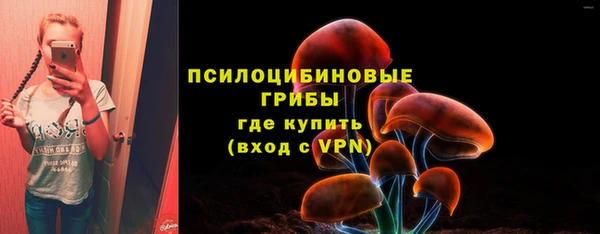 синтетический гашиш Арсеньев