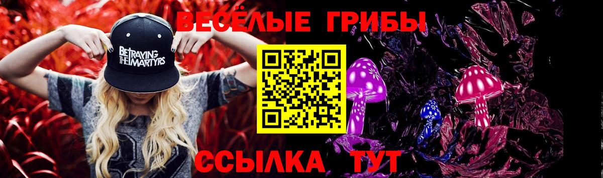 Псилоцибиновые грибы Psilocybine cubensis  Галлюциногенные грибы Cubensis  Вход с VPN  Курган 