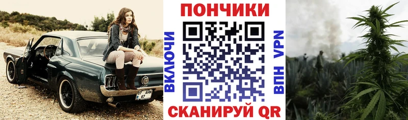OMG как войти  Курган  Бошки Шишки индика 